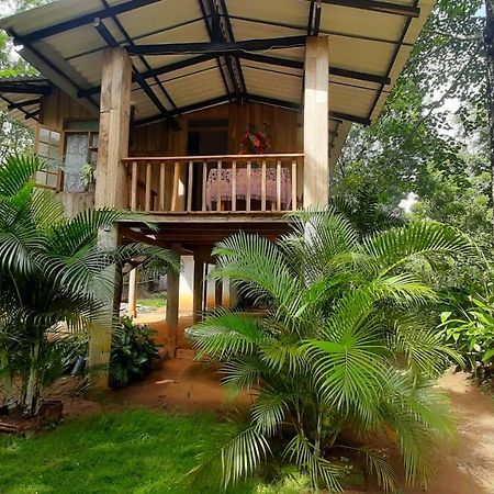 Ruk Sewana Villa Tree House Sigiriya Bagian luar foto
