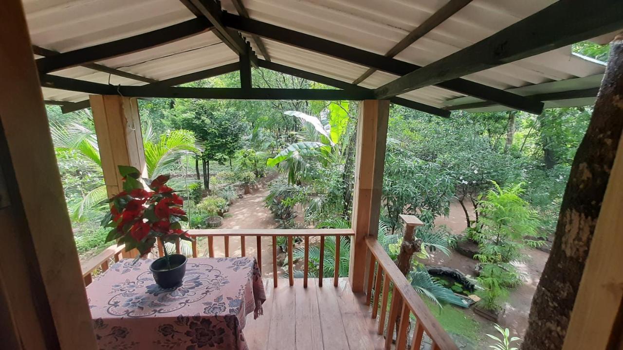 Ruk Sewana Villa Tree House Sigiriya Bagian luar foto
