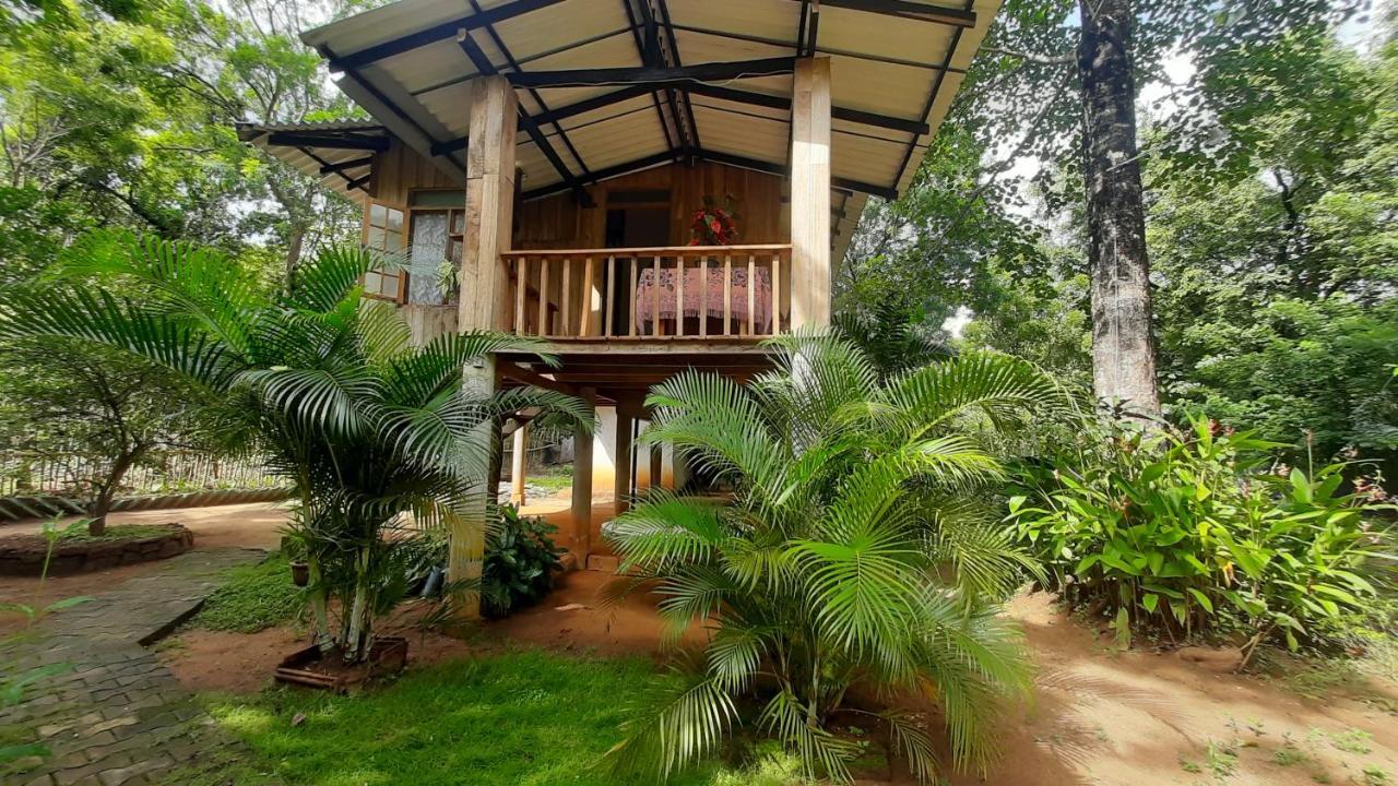 Ruk Sewana Villa Tree House Sigiriya Bagian luar foto