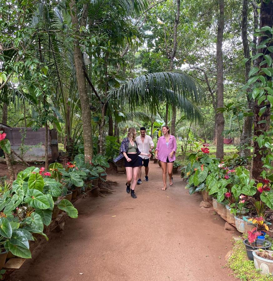 Ruk Sewana Villa Tree House Sigiriya Bagian luar foto